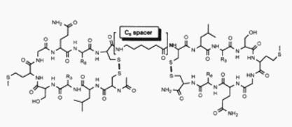 Peptide cyclisation -